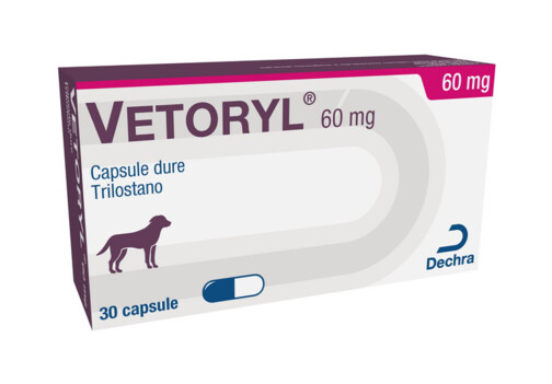 таблетки для прерывания беременности у собак